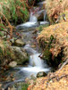 Stream vii
